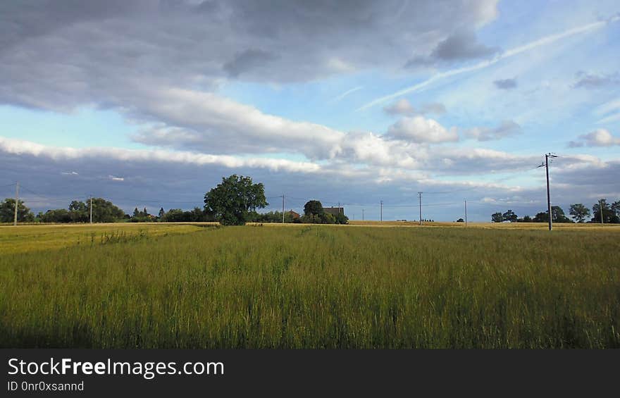 Sky, Grassland, Field, Cloud