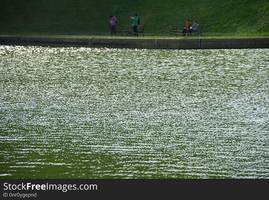 Water, Green, Water Resources, Grass