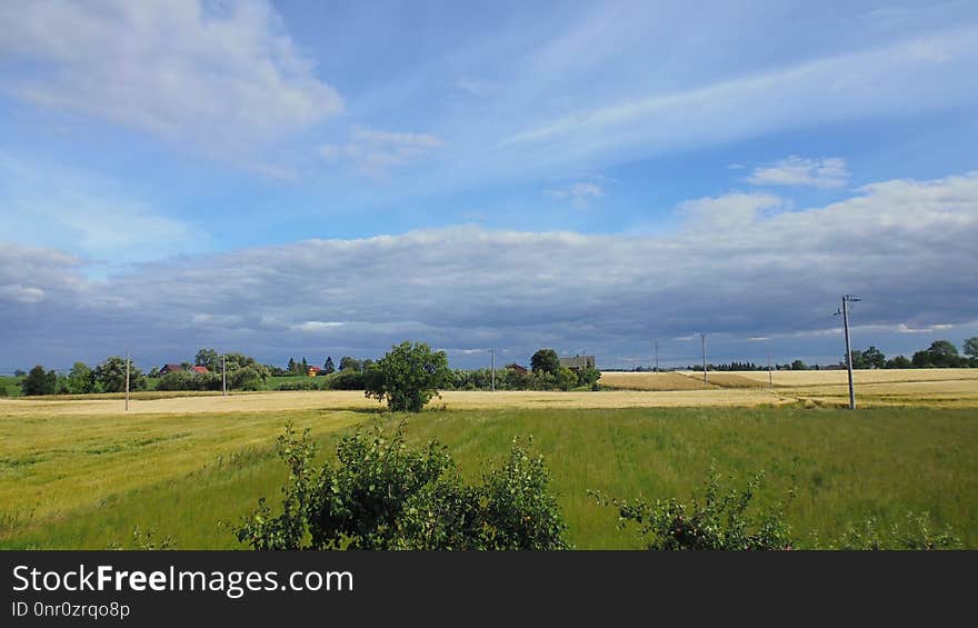 Grassland, Sky, Field, Plain