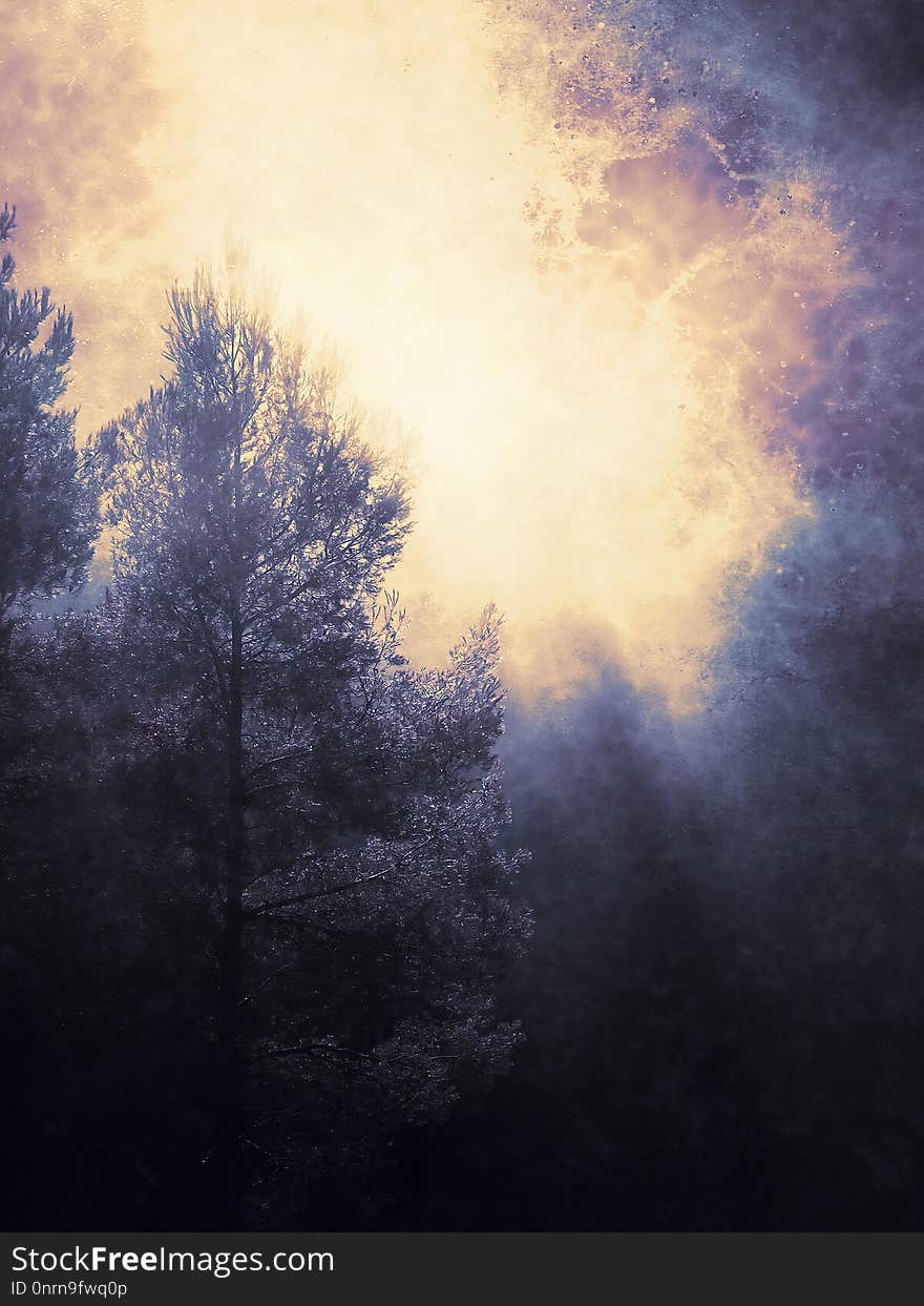 Sky, Atmosphere, Nature, Mist