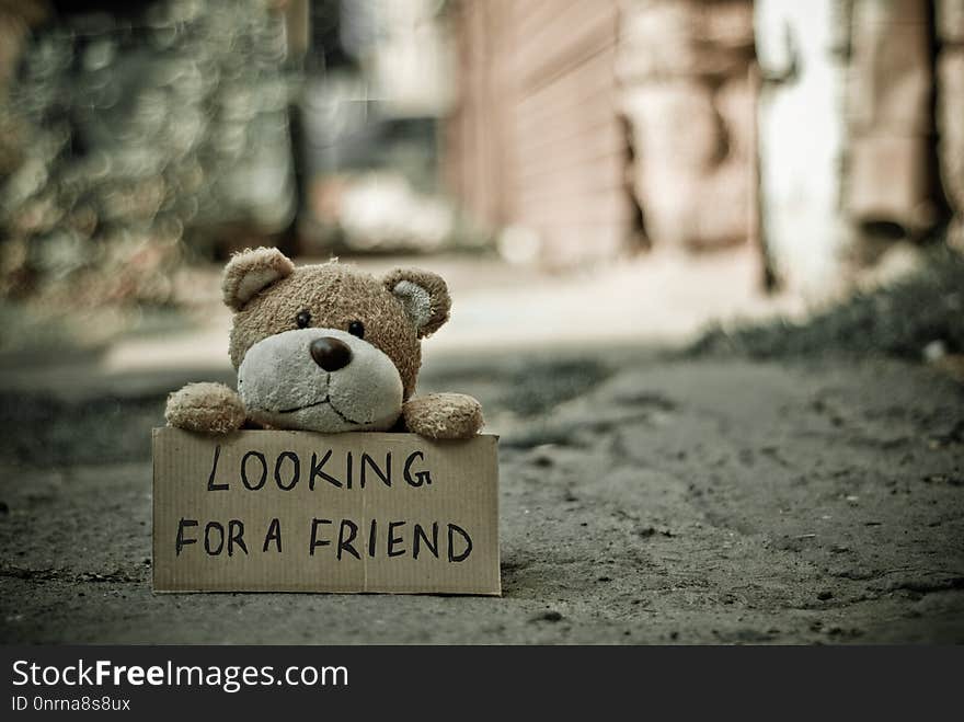 Snout, Teddy Bear