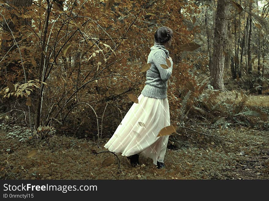 Woodland, Dress, Tree, Forest