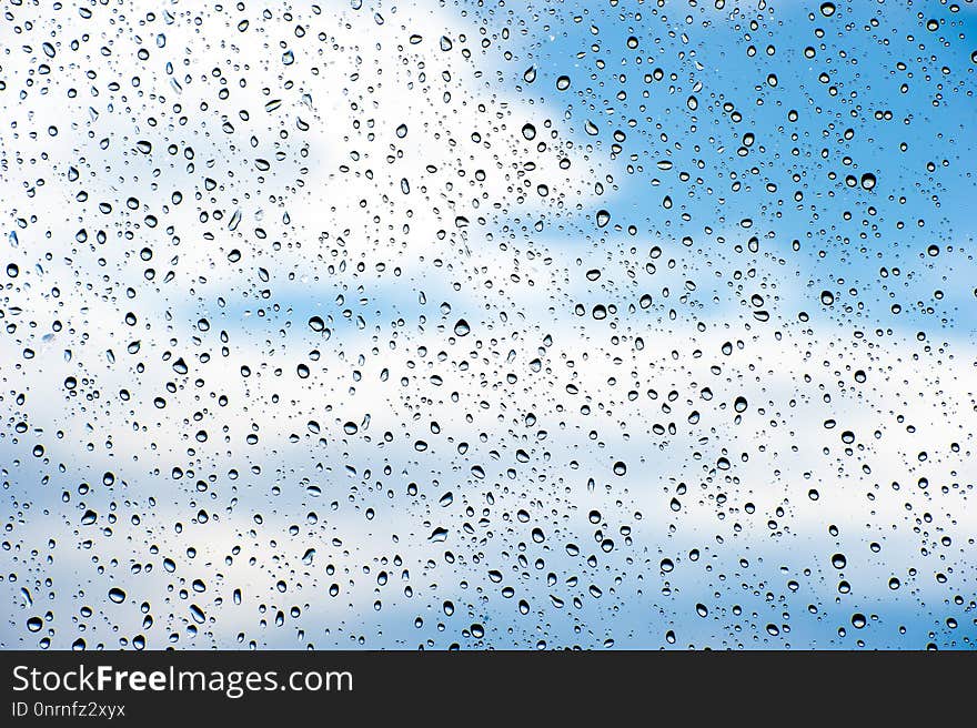 Sky, Water, Flock, Bird Migration