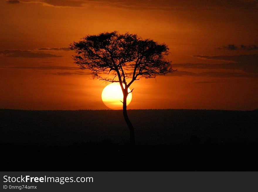 Sky, Sunrise, Afterglow, Sunset