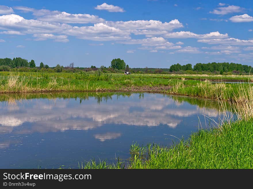 Water Resources, Wetland, Nature Reserve, Marsh