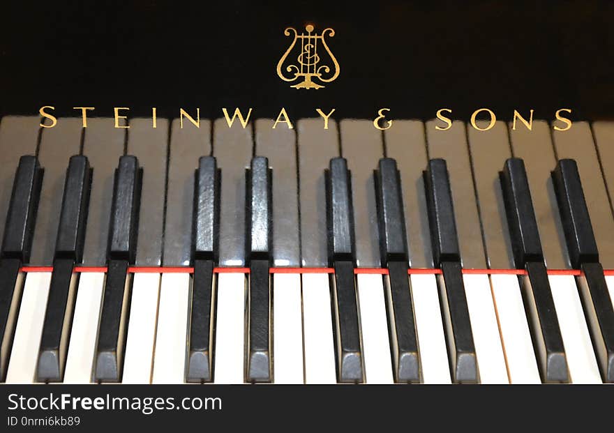 Musical Instrument, Piano, Keyboard, Technology