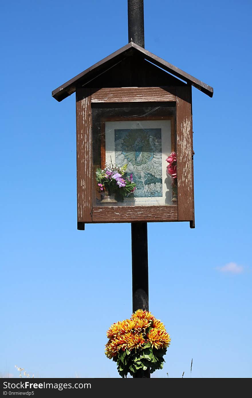 Sky, Tree, Bird Feeder, House