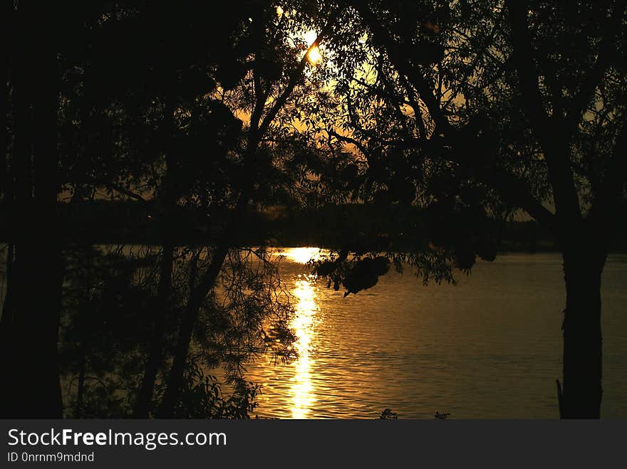 Reflection, Nature, Water, Light