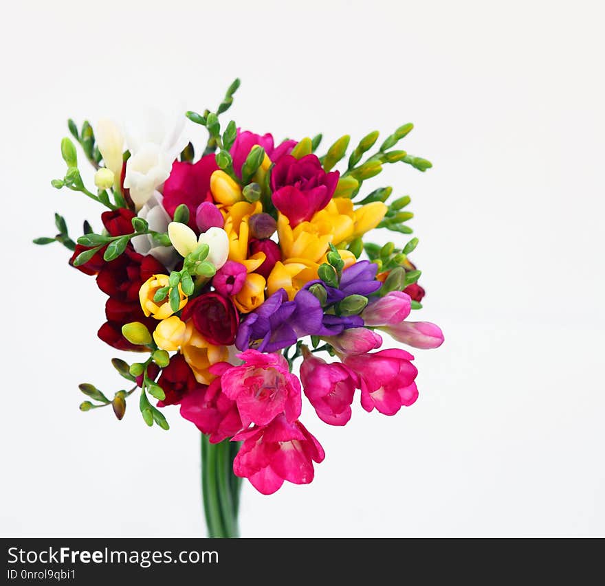 Bouquet of colorful flowers on white for spring and summer holidays and post card