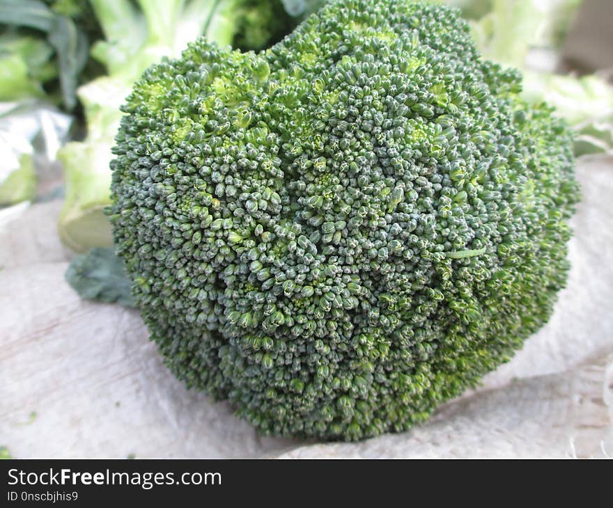 Broccoli, Plant, Grass, Flowerpot