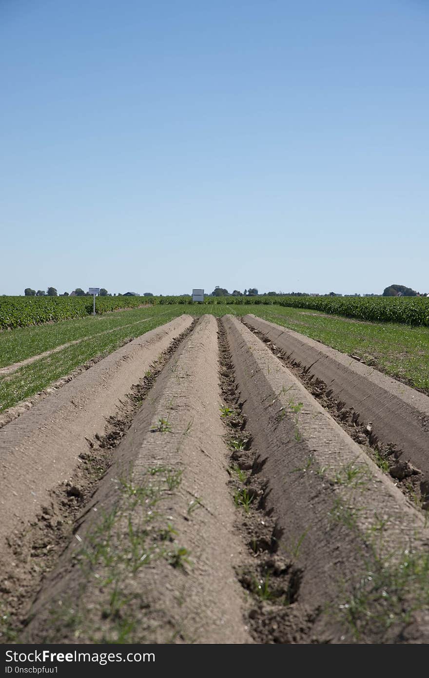 Road, Field, Soil, Path