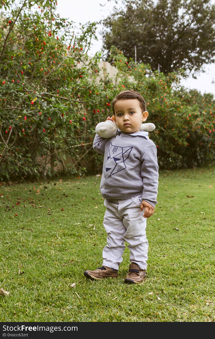 Child, Grass, Tree, Plant