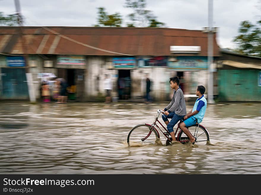 Water, Flood, Disaster, Natural Disaster