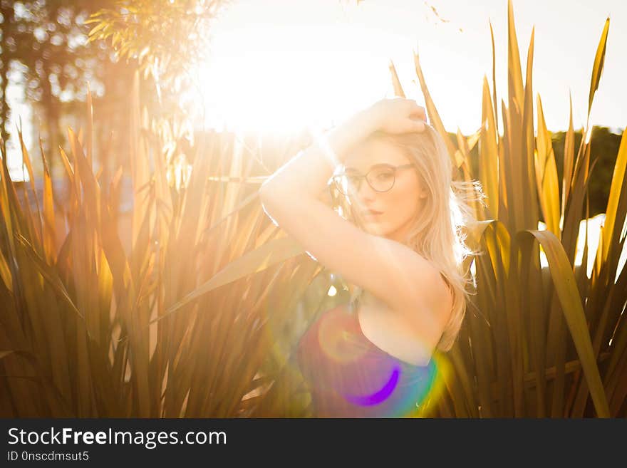 Photograph, Beauty, Grass, Light