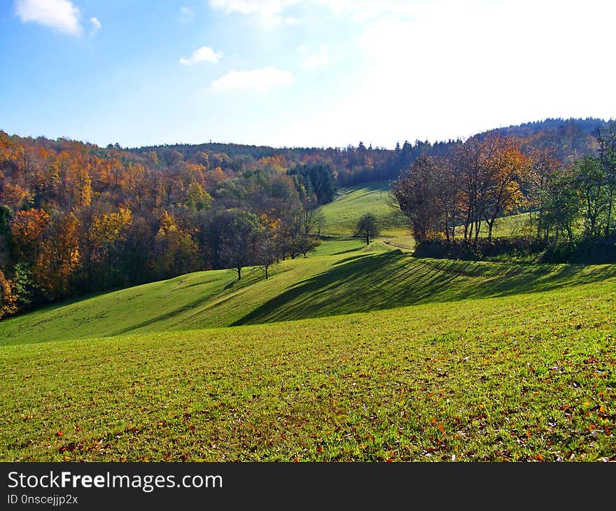 Grassland, Nature, Leaf, Hill