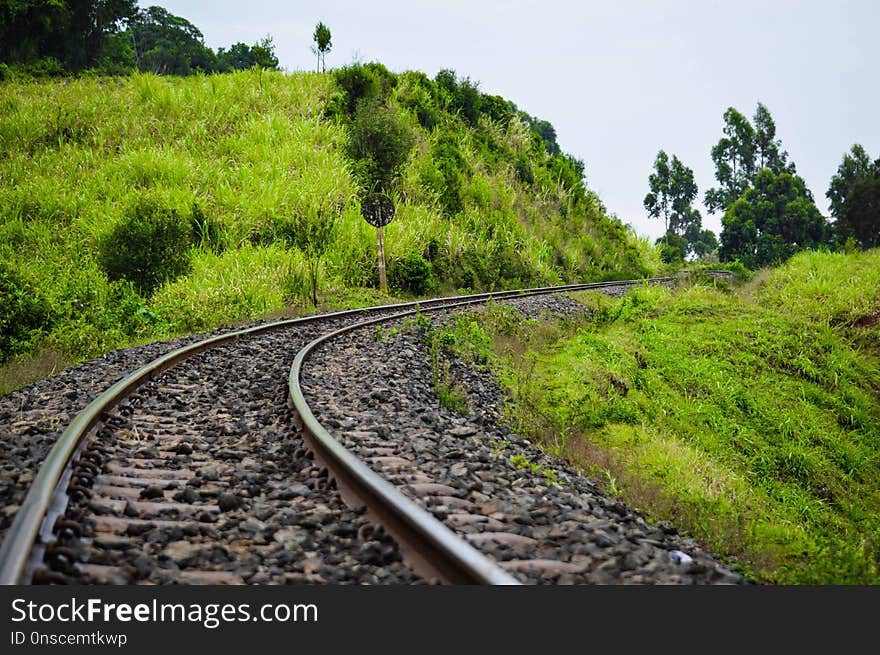 Track, Transport, Vegetation, Rail Transport