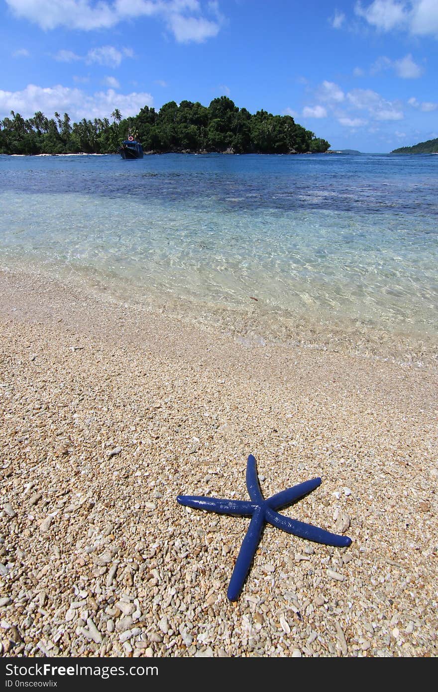 Sea, Body Of Water, Beach, Shore