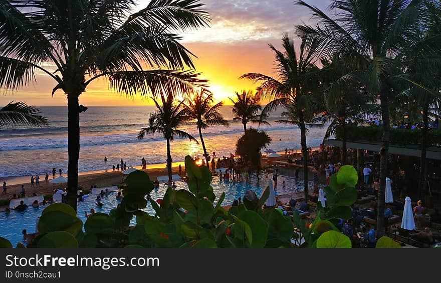 Body Of Water, Palm Tree, Sky, Arecales