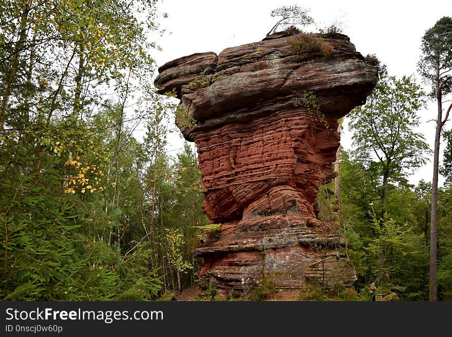 Rock, Nature Reserve, Tree, Bedrock