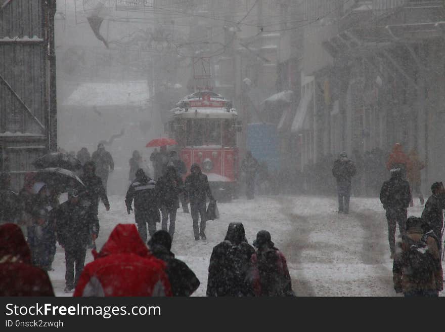 Snow, Winter, Geological Phenomenon, Freezing