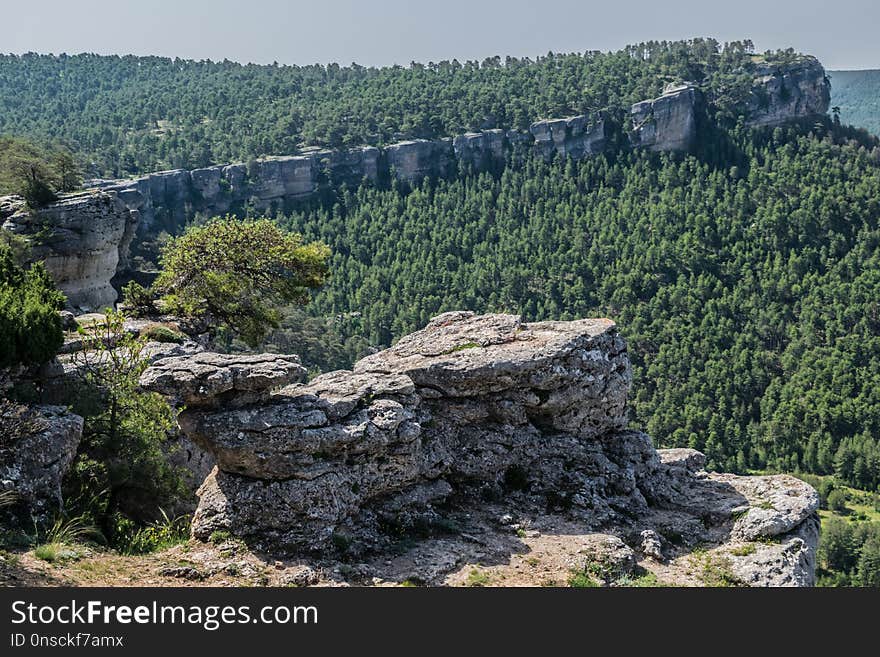 Rock, Vegetation, Nature Reserve, Tree