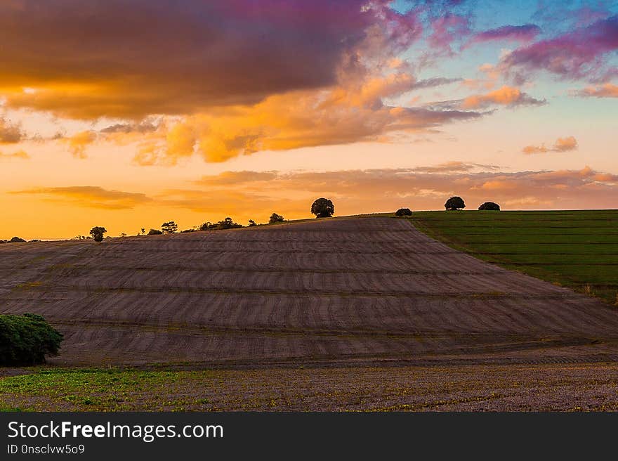 Sky, Field, Cloud, Dawn