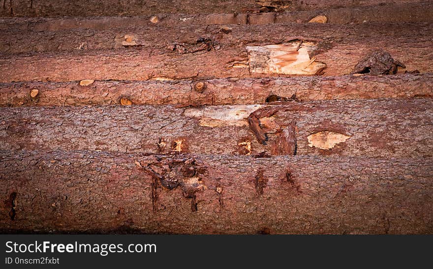 Soil, Wall, Wood, Rust