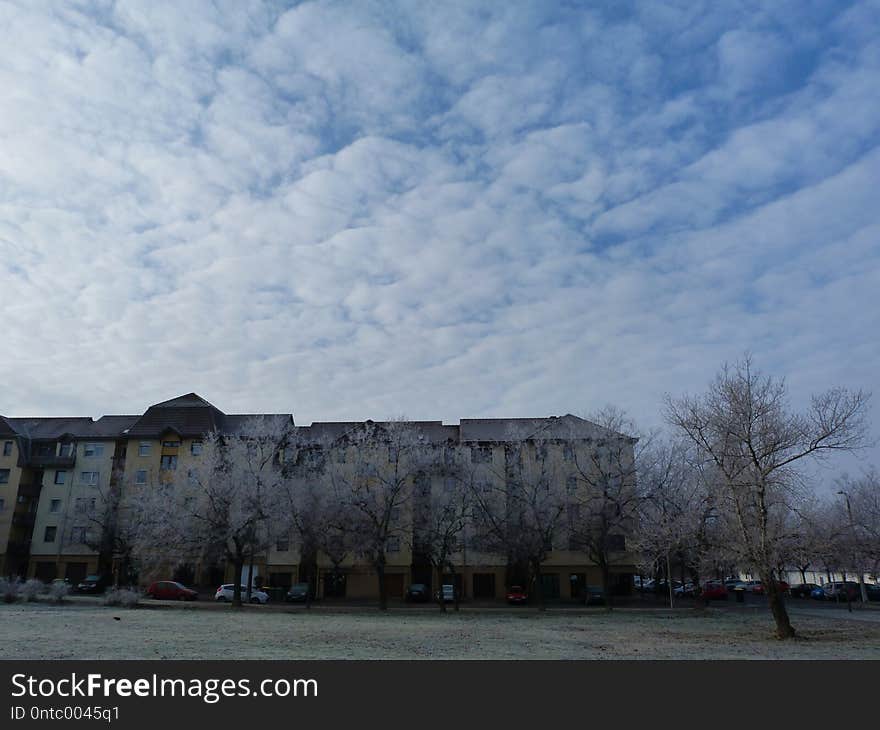 Wintery urban street with frosty trees and blue sky above