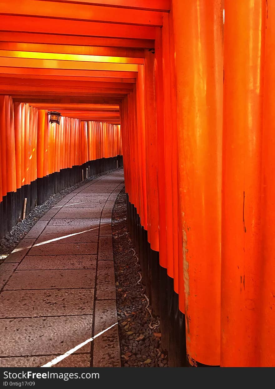 Fox sanctuary in Japan, Kyoto. Fox sanctuary in Japan, Kyoto