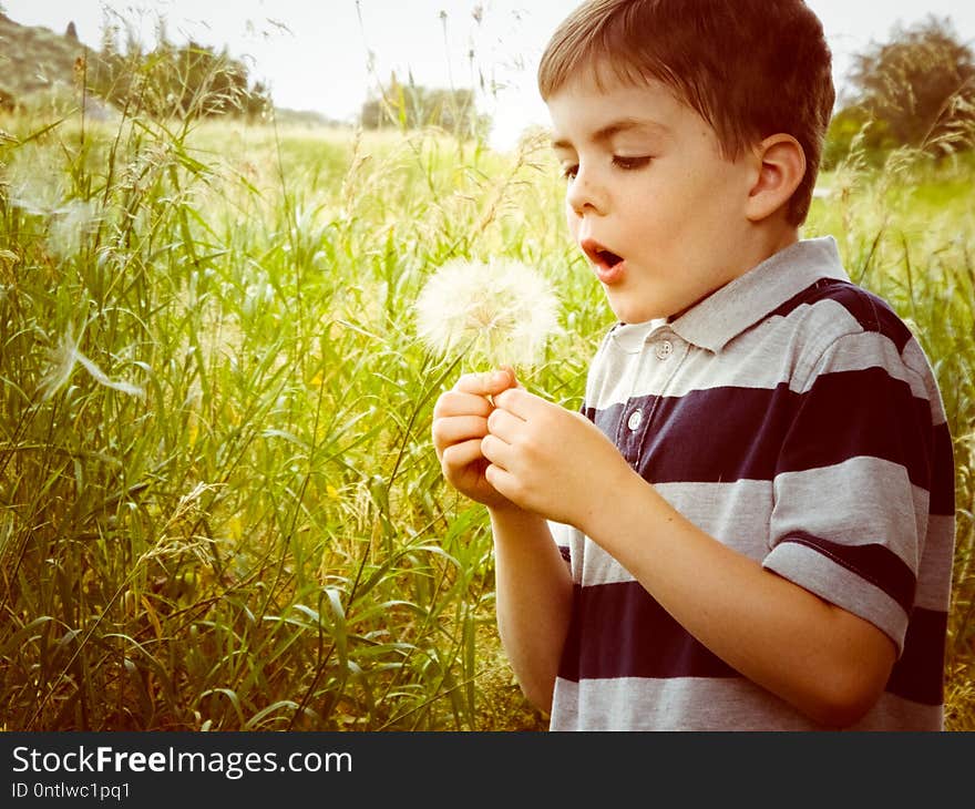 Little Boy Blowing a Dandelion