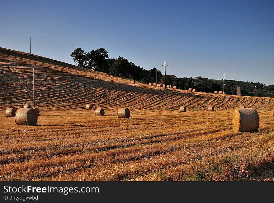 Hay rolls in the hot summer