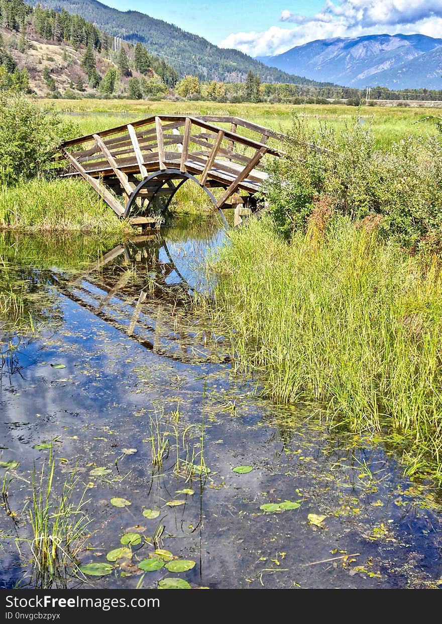 Water, Reflection, Nature Reserve, Vegetation