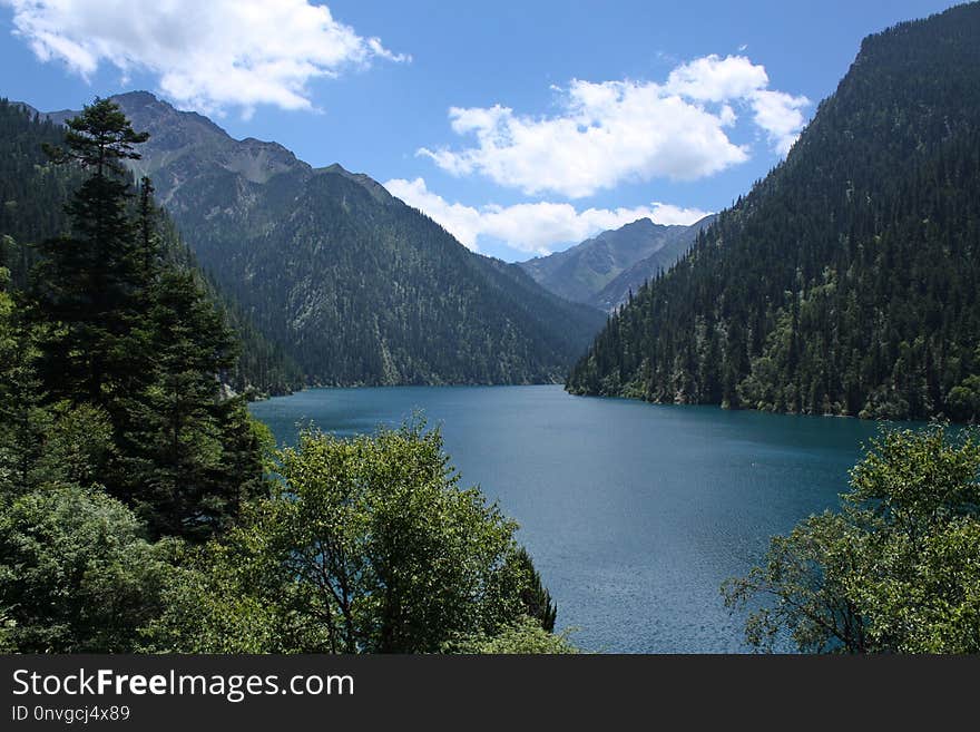 Nature, Lake, Wilderness, Nature Reserve