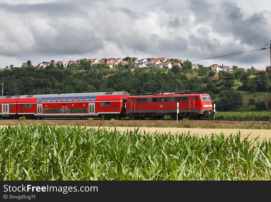 Track, Transport, Train, Rail Transport