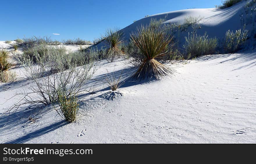 Snow, Winter, Ecosystem, Sky