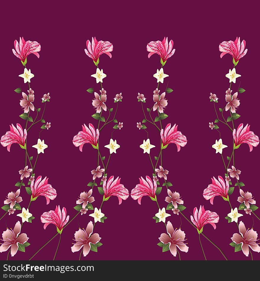 Flower, Pink, Flora, Flowering Plant