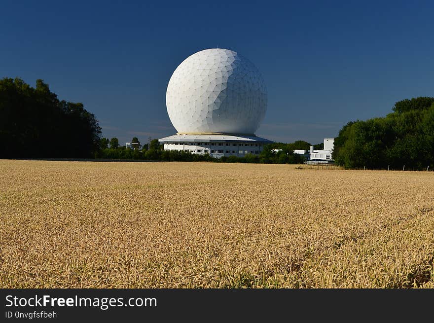 Field, Sky, Daytime, Grass