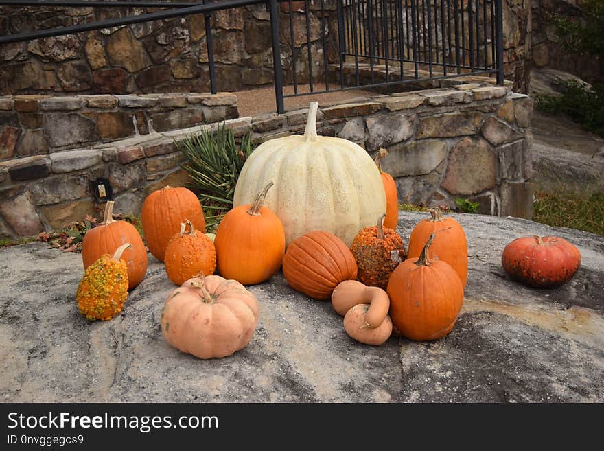 Pumpkin, Winter Squash, Cucurbita, Calabaza