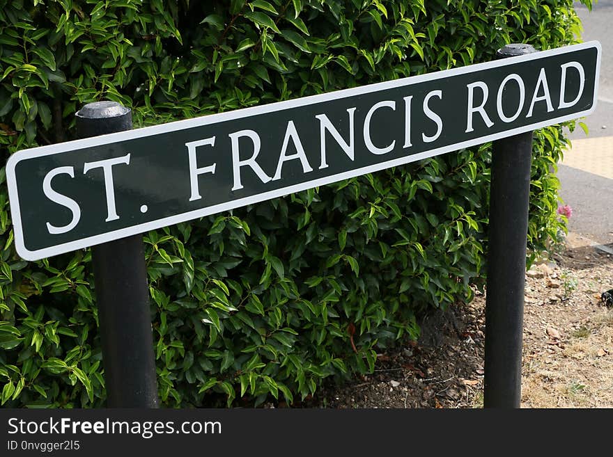 Street Sign, Signage, Plant, Grass