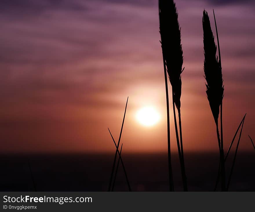 Sky, Sunset, Horizon, Sunrise