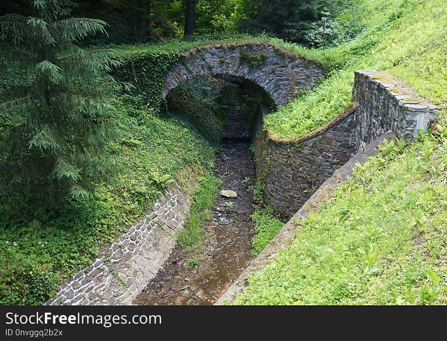 Vegetation, Nature Reserve, Grass, Watercourse