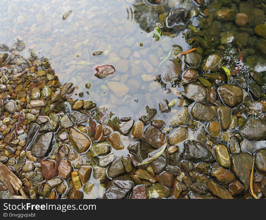 Water, Pebble, Rock, Stream Bed