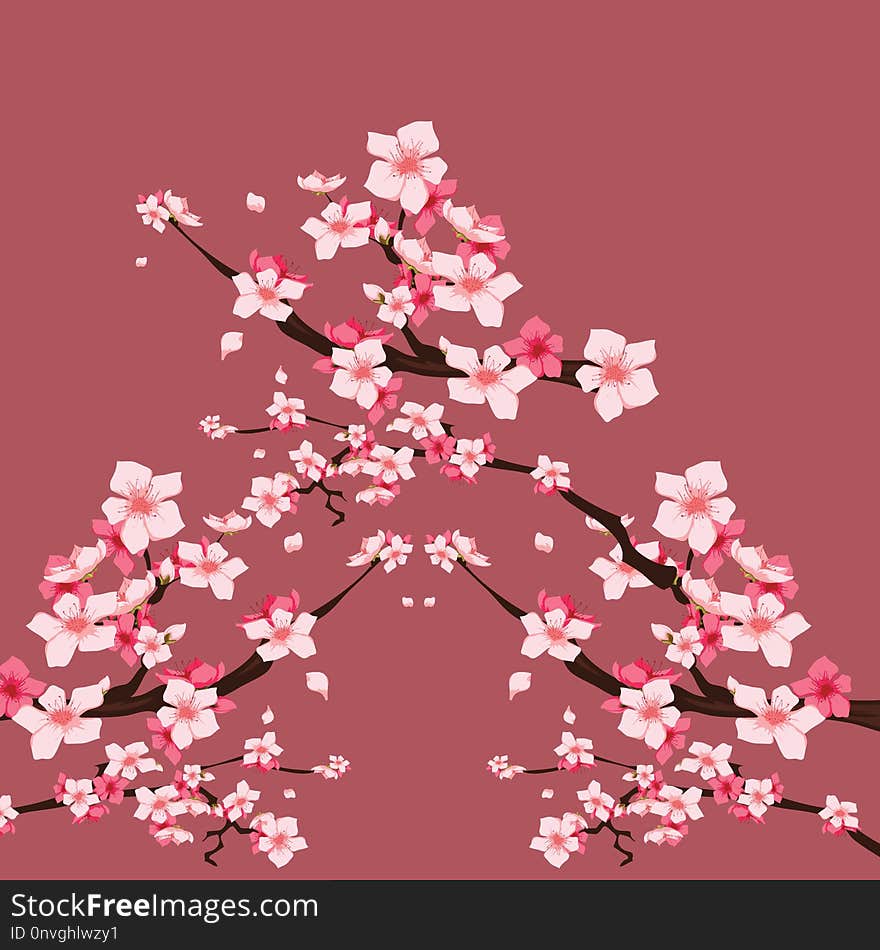 Flower, Blossom, Pink, Cherry Blossom