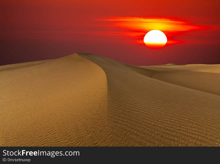 Beautiful sunset in the desert. Sand dune on the background of the setting sun.