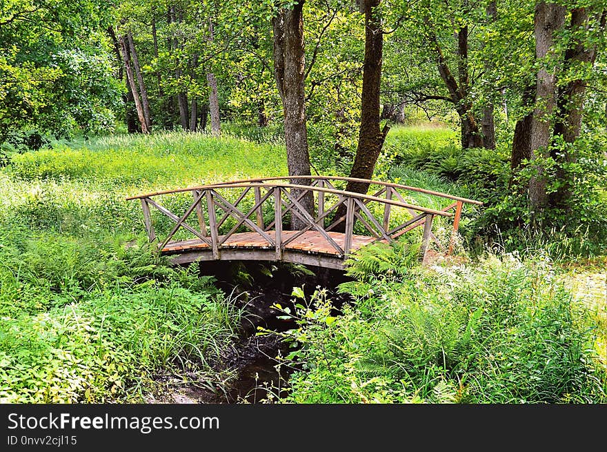 Nature, Vegetation, Nature Reserve, Ecosystem