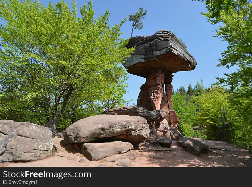 Rock, Tree, Nature Reserve, National Park