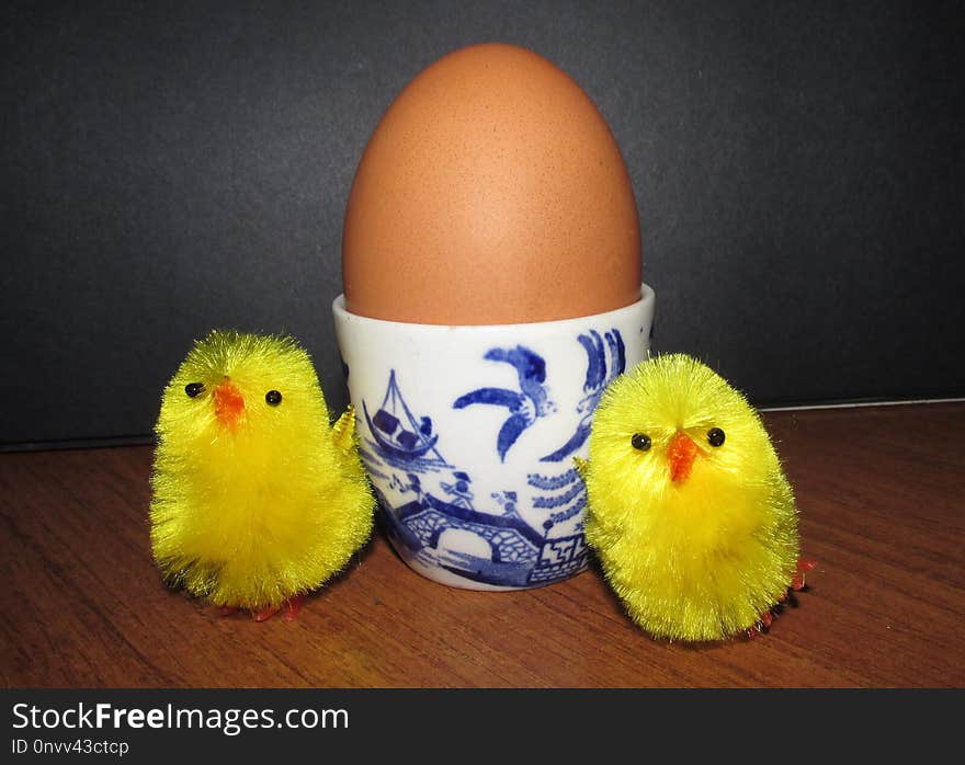 Egg, Beak