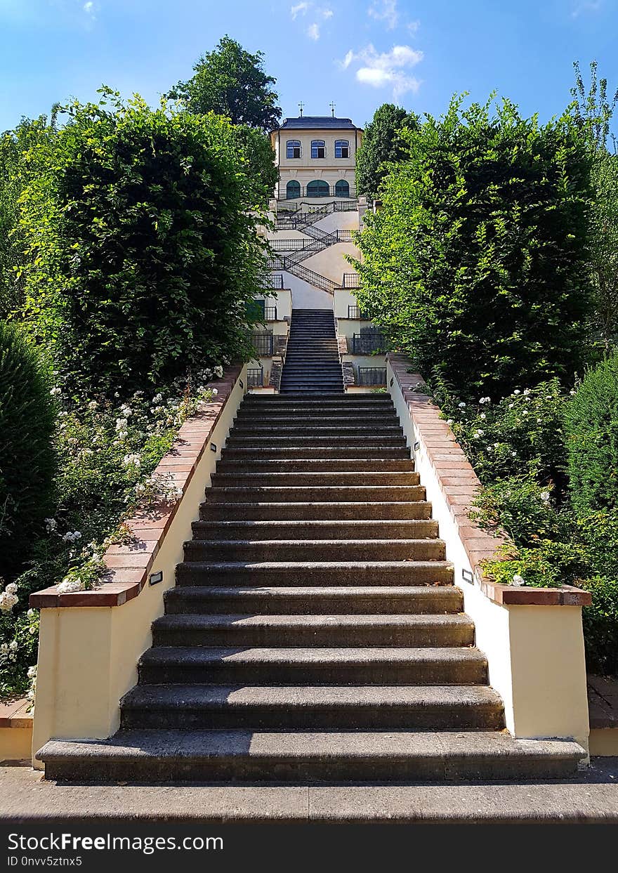 Stairs, Sky, Tree, Walkway