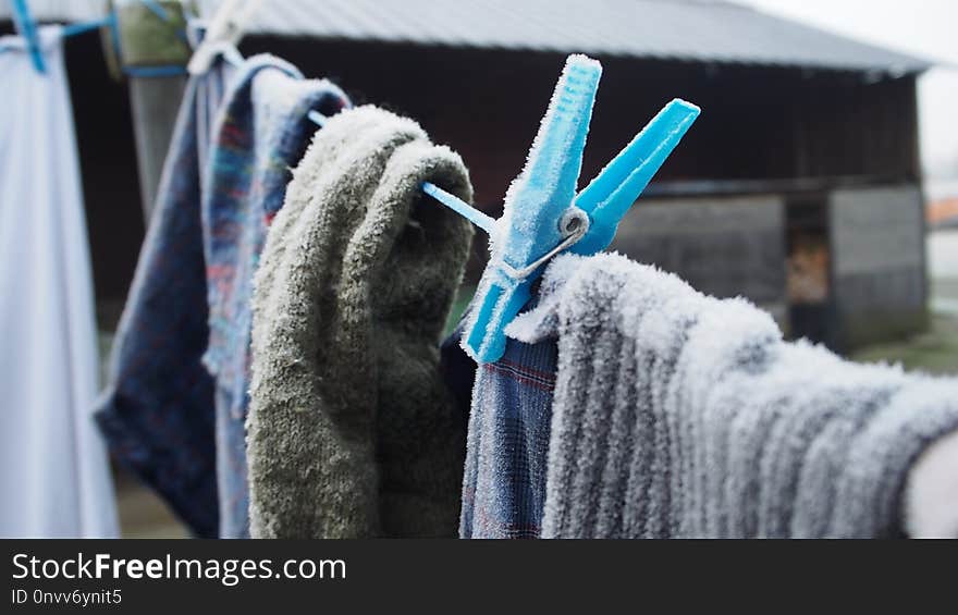 Wool