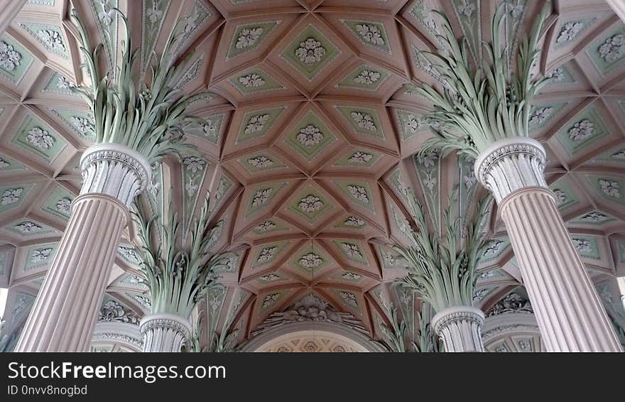 Ceiling, Structure, Vault, Arecales